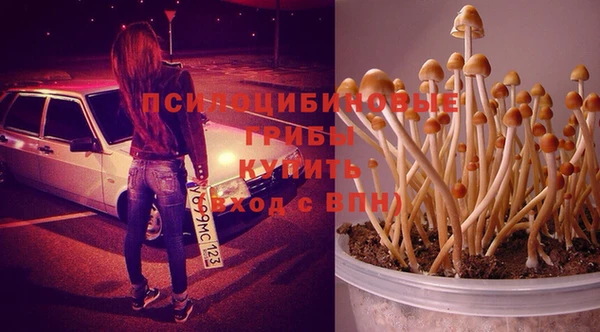 MDMA Premium VHQ Армянск